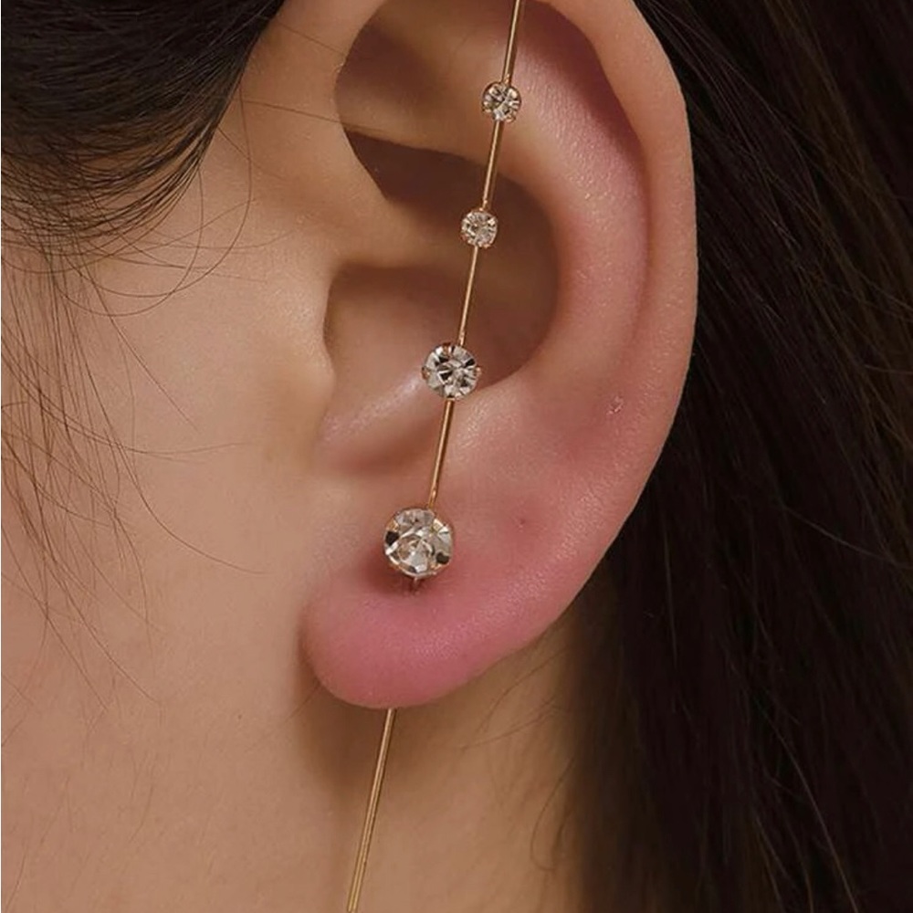 3/20 Zircon Decor Earring